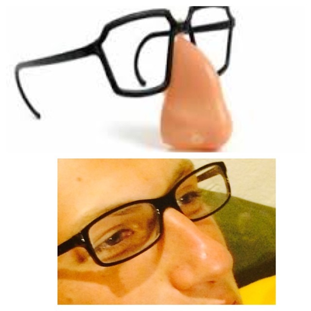 Picture of someone with a big nose and glasses below a pciture of fake glasses with exaggerated nose attached