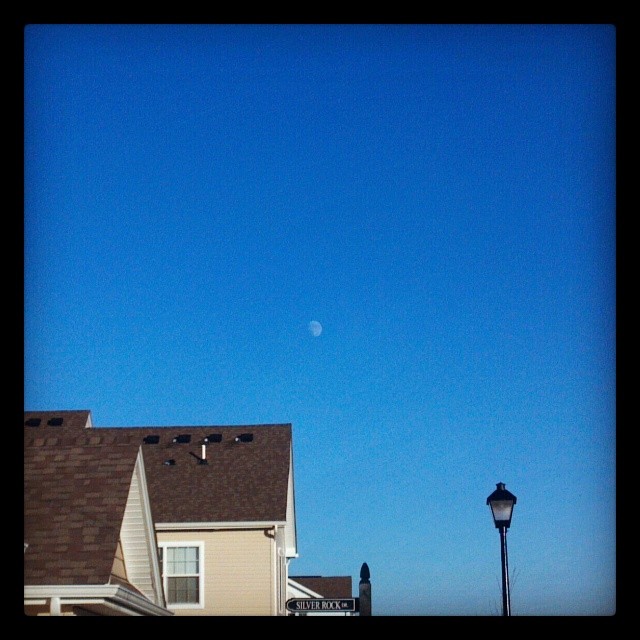 The moon low in the sky during midday